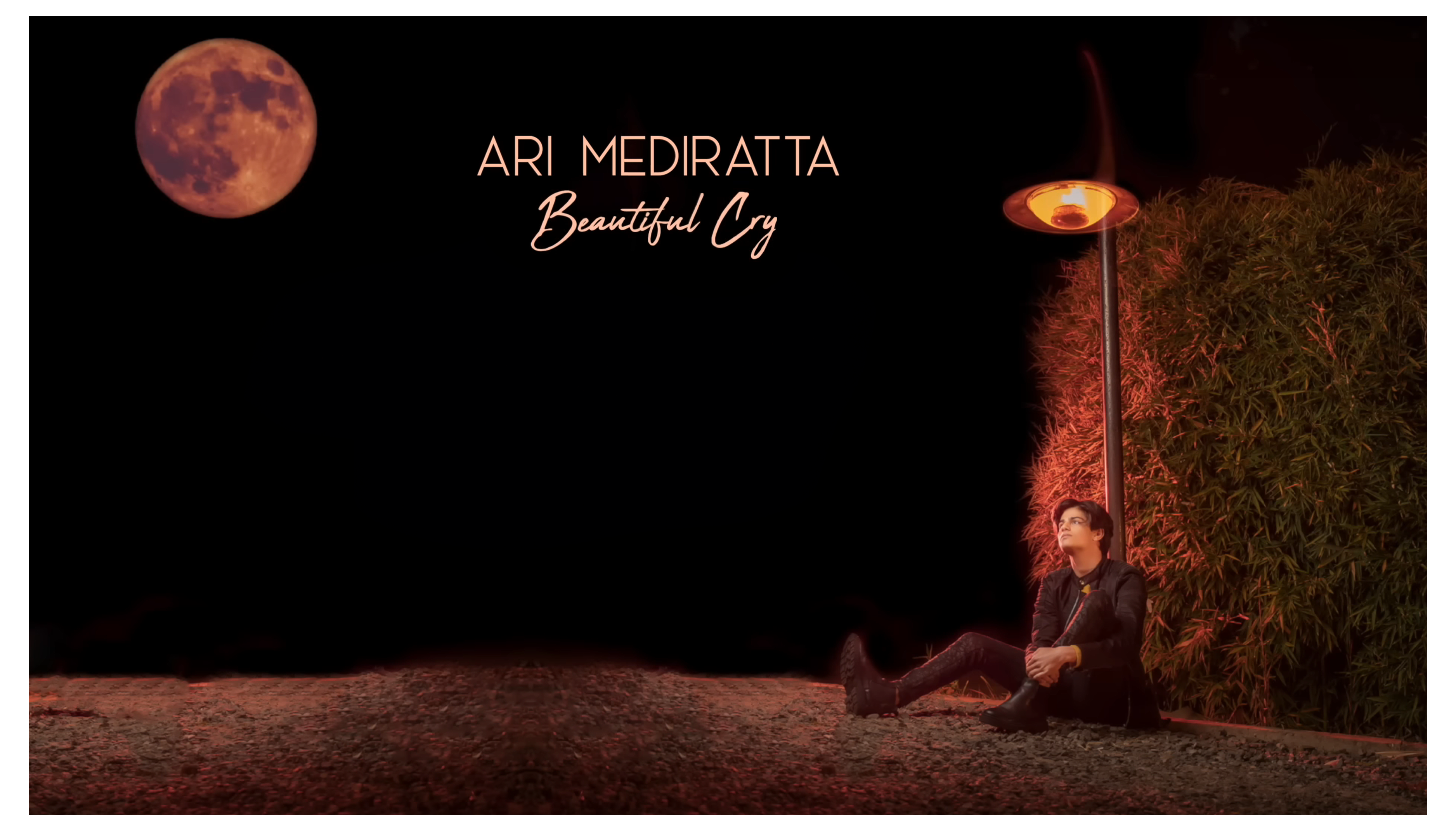 Load video: Ari Mediratta - Beautiful Cry (Official Lyric Video)